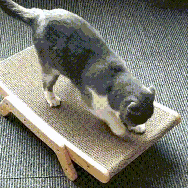 Vielseitiger ClawLounge™ 3-in-1 Kratzbaum als Spielplatz & Katzenliege; perfekt für Einzel- & Mehrkatzenhaushalte.