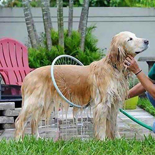 Einfaches 360° Haustier-Duschwerkzeug AquaPaws für gründliches Hunde-Waschen & schnelle Fellpflege.