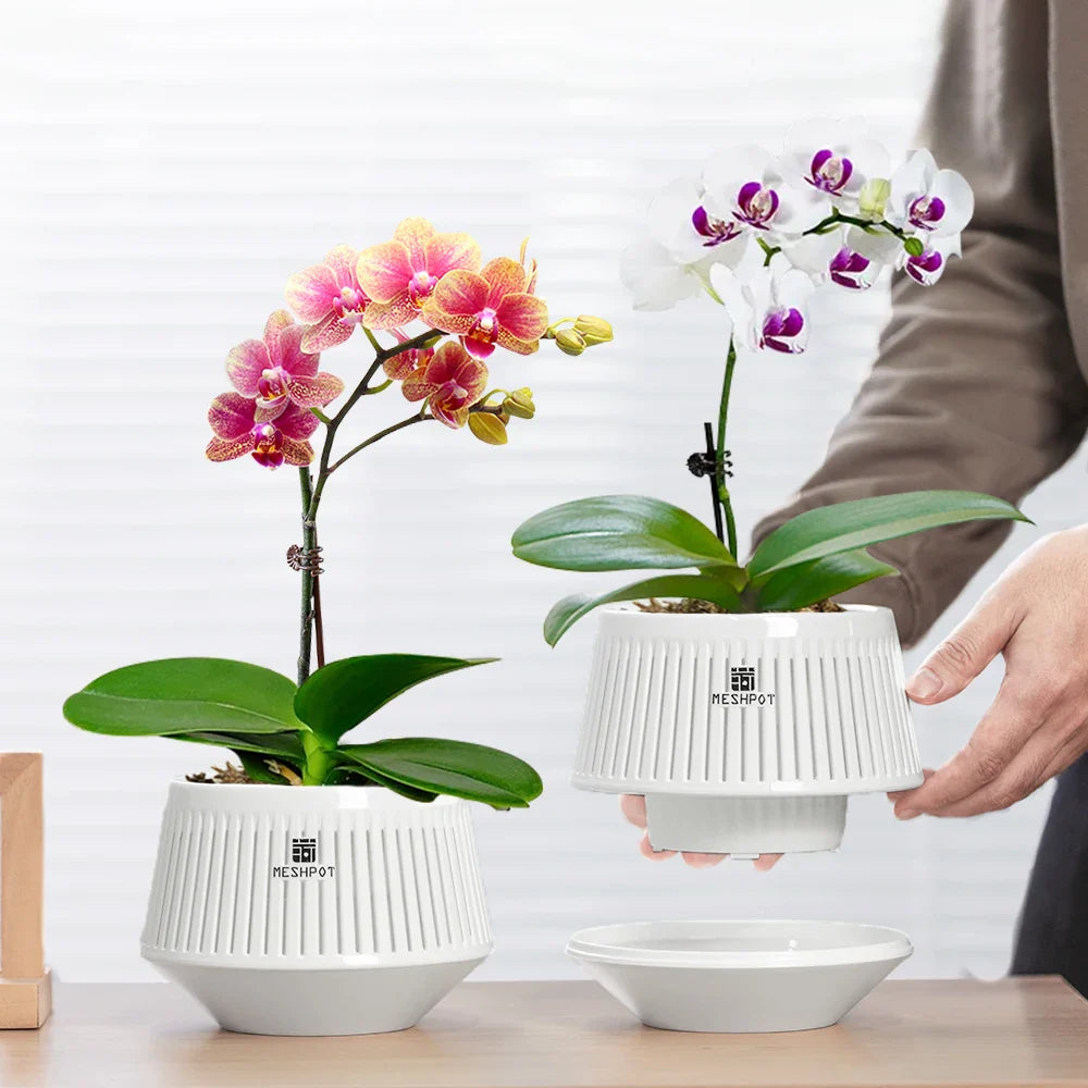 Aëria Orchideen Topf 12 cm mit Belüftung & Drainagelöchern für gesunde Wurzeln.