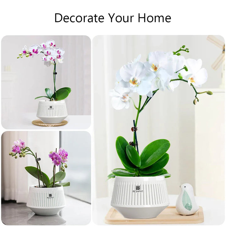 Hochwertiger Aëria Orchideen Topf 12 cm mit Belüftung, tolle Geschenkidee für Pflanzenliebhaber.
