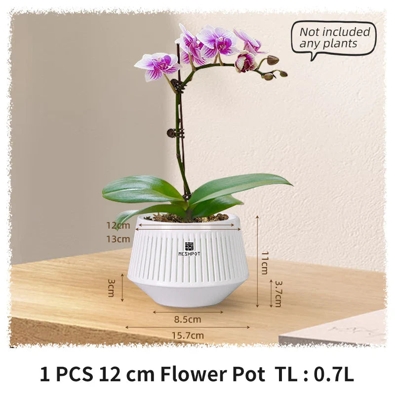Vielseitiger Aëria Pflanztopf 12 cm, geeignet für Orchideen, Sukkulenten, indoor & outdoor Garten.