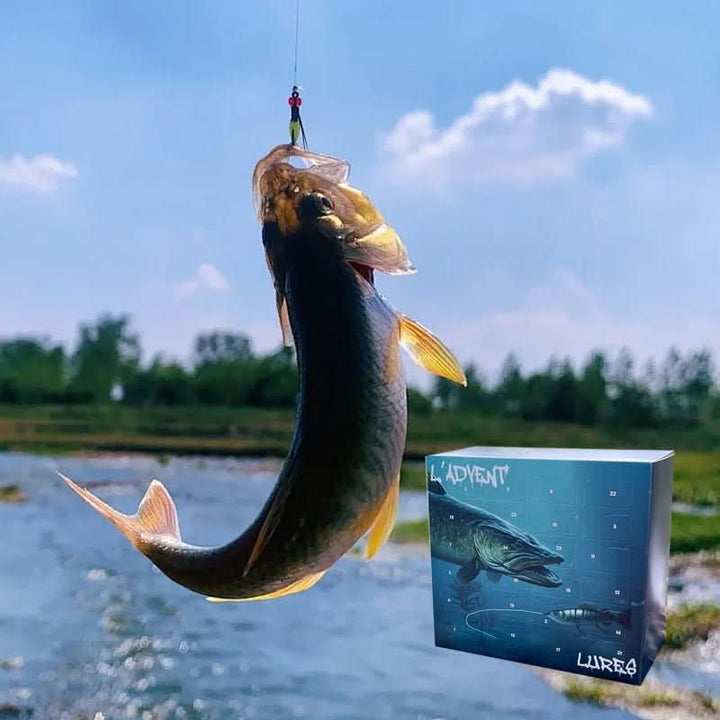Detailansicht des Angler Adventskalenders 2025, schönes Design mit 24 Türchen voller Angelköder.