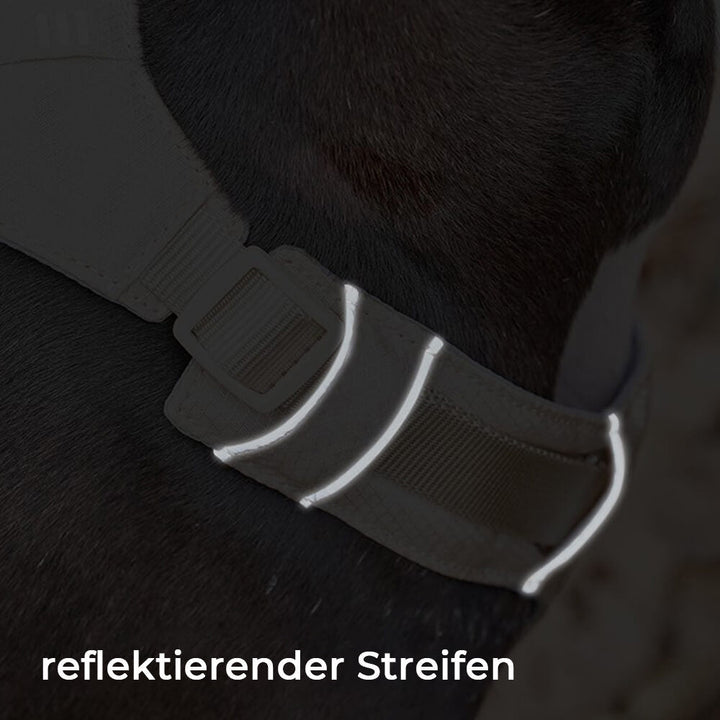 Premium Anti-Zieh Geschirr & Leine für tägliche Spaziergänge und effektives Training.