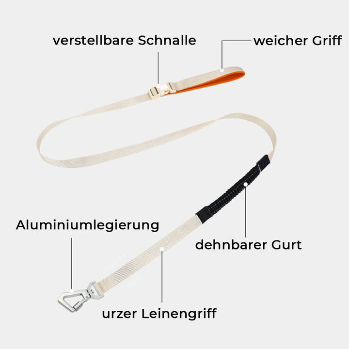Atmungsaktives Anti-Zieh Hundegeschirr Set, ideal für lange Spaziergänge und Abenteuer.