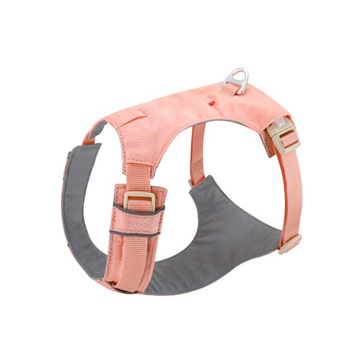 Komplettes Anti-Zieh Set: Geschirr, Leine, Komfort für Hund & Halter auf jedem Spaziergang.