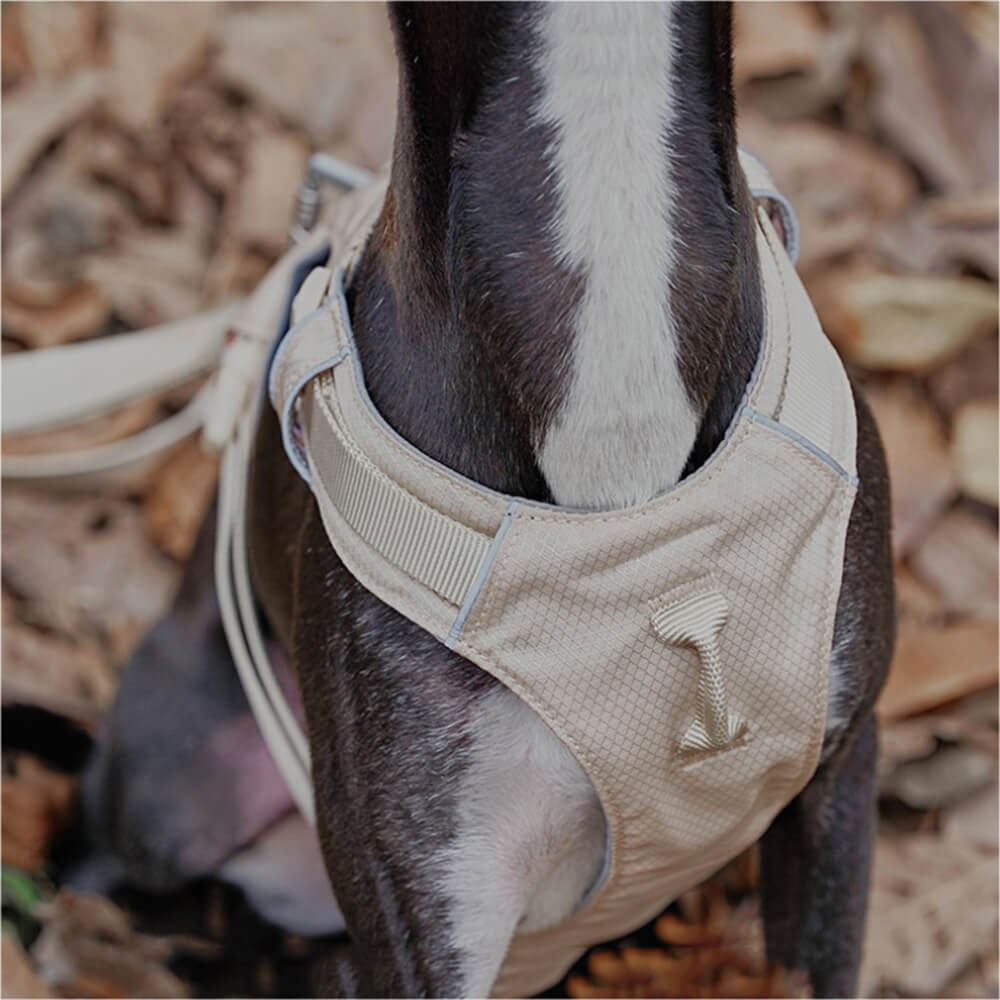 Verstellbares Anti-Zieh Hundegeschirr für optimale Passform und Sicherheit bei Spaziergängen.