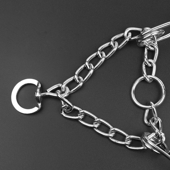Detailansicht des robusten Anti-Zieh Trainerhalsbands; ideal für Hundeerziehung & Verhaltenskorrektur.