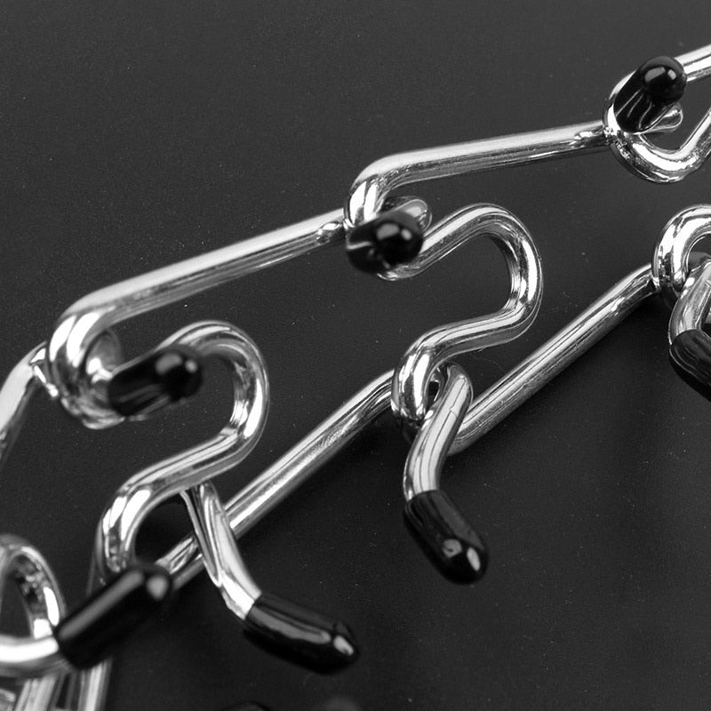Hund trägt Anti-Zieh Trainerhalsband für effektives Gehorsamstraining; für entspannte Spaziergänge.