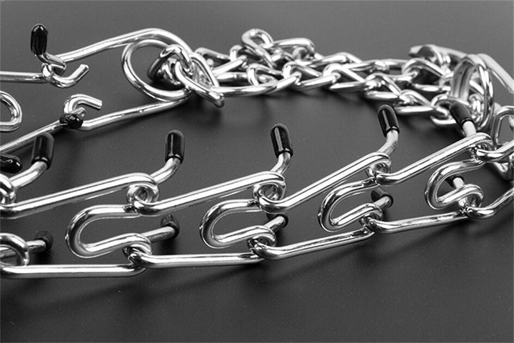 Hundebesitzer trainiert mit Anti-Zieh Halsband; fördert Gehorsam und kontrollierte Spaziergänge.