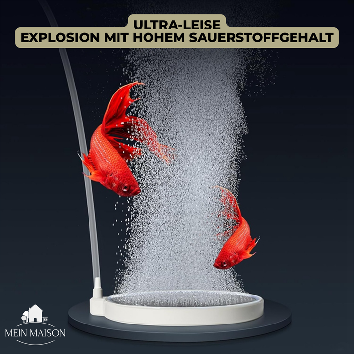AquaBreathe Nano Luftstein im Aquarium; erzeugt feine Bläschen für gesunde Fische und Wasserpflanzen.