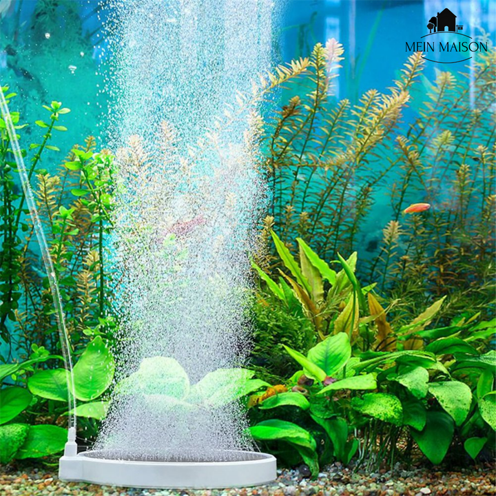 Gesunde Fische und Wasserpflanzen dank AquaBreathe Nano Luftstein: effektive Aquariumbelüftung.