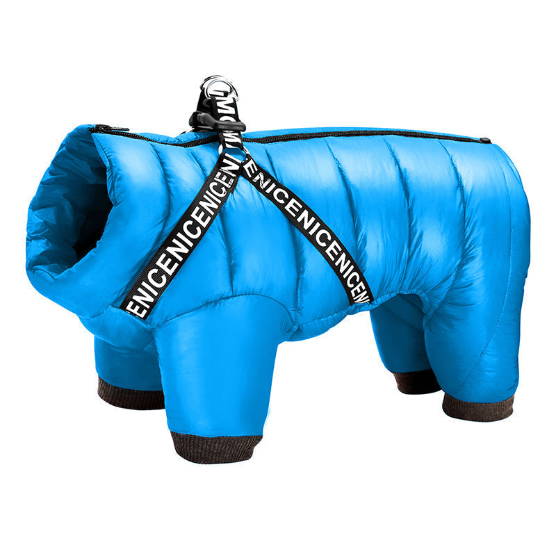 Glücklicher Hund im Schnee trägt die warme ArcticPaws Winterjacke, optimaler Kälteschutz und Tragekomfort.