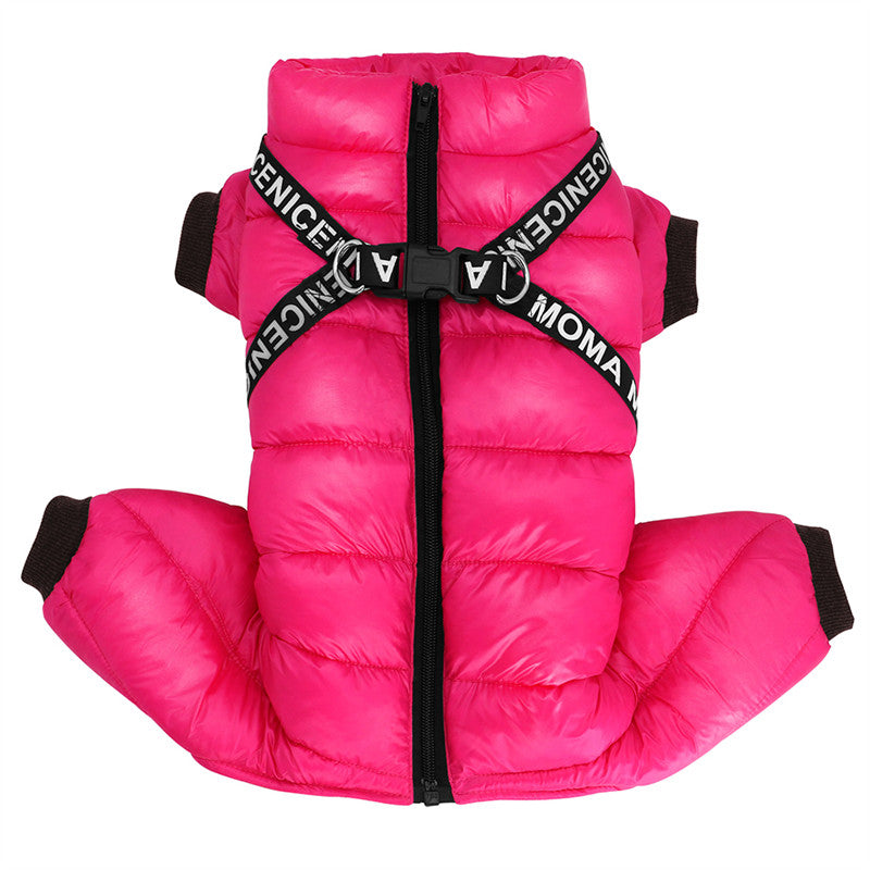 Die ArcticPaws Winterjacke bietet maximalen Kälteschutz und Komfort für Ihren Hund – unverzichtbares Hundezubehör.