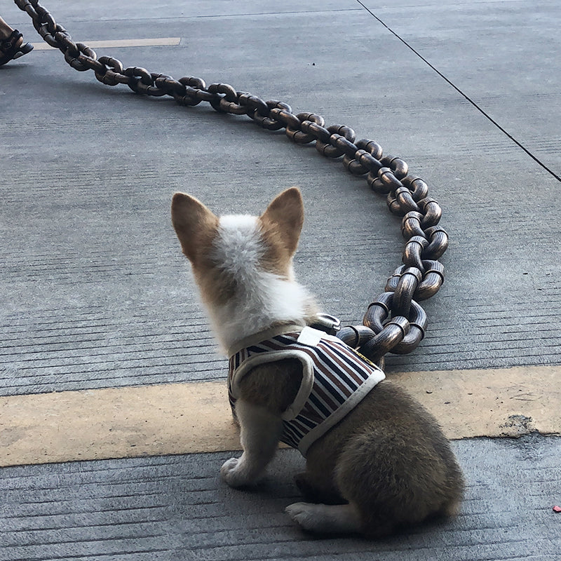Robuste Hundeleine im angesagten Ketten-Design für sichere Spaziergänge mit Ihrem Hund.