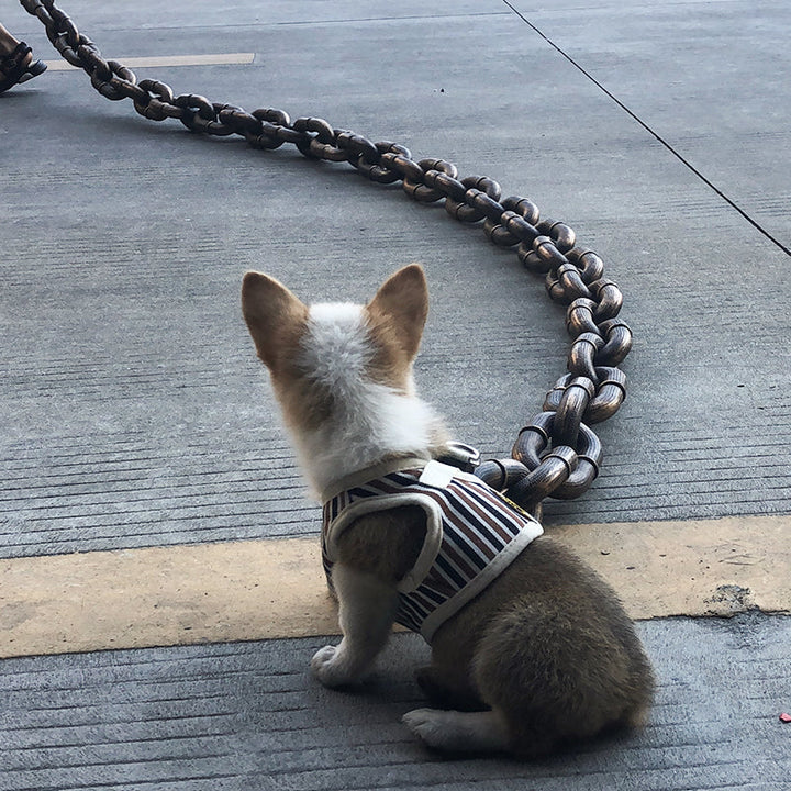 Robuste Hundeleine im angesagten Ketten-Design für sichere Spaziergänge mit Ihrem Hund.