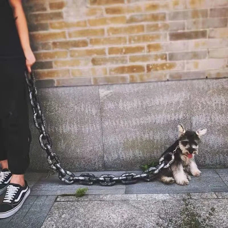 Leichte und strapazierfähige Hundeleine im Ketten-Look, perfektes Zubehör für modische Hunde.