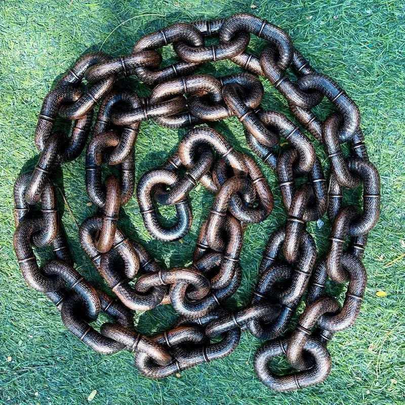 Auffällige Hundeleine, strapazierfähig und leicht, ideal für tägliche Spaziergänge in Stadt oder Natur.