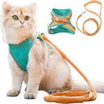 Orange | Teal