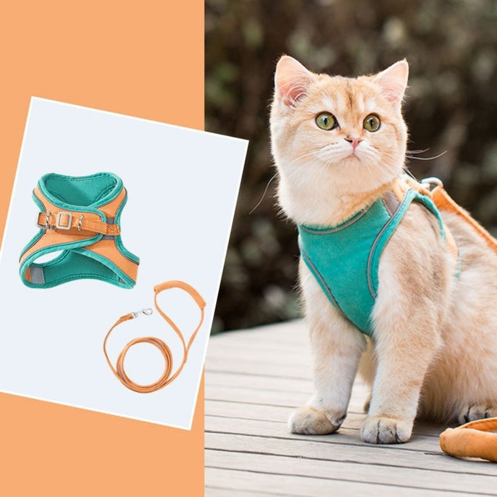 Perfektes Outdoor-Katzengeschirr für alle Abenteuer, ausbruchsicher, langlebig und komfortabel.