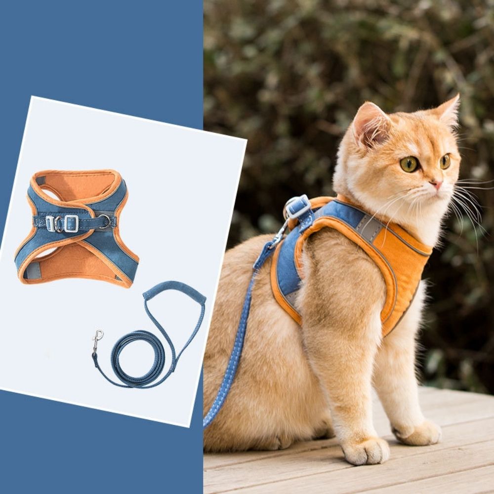 Vielseitiges, verstellbares Katzengeschirr für Kätzchen und große Katzen, atmungsaktiv und sicher.
