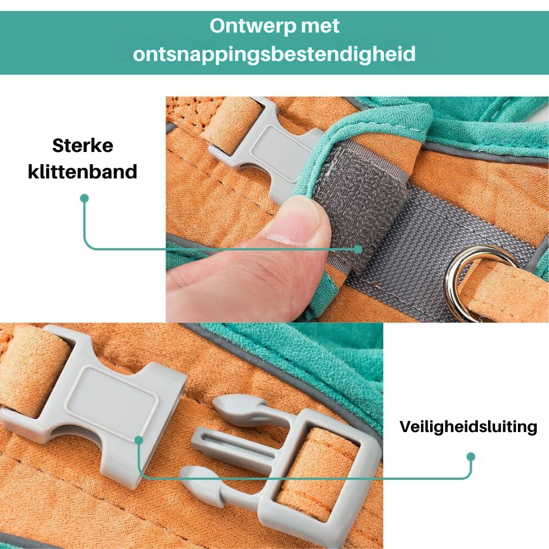 Bequemes, atmungsaktives Katzengeschirr für Kätzchen und erwachsene Katzen, ideal für lange Spaziergänge.