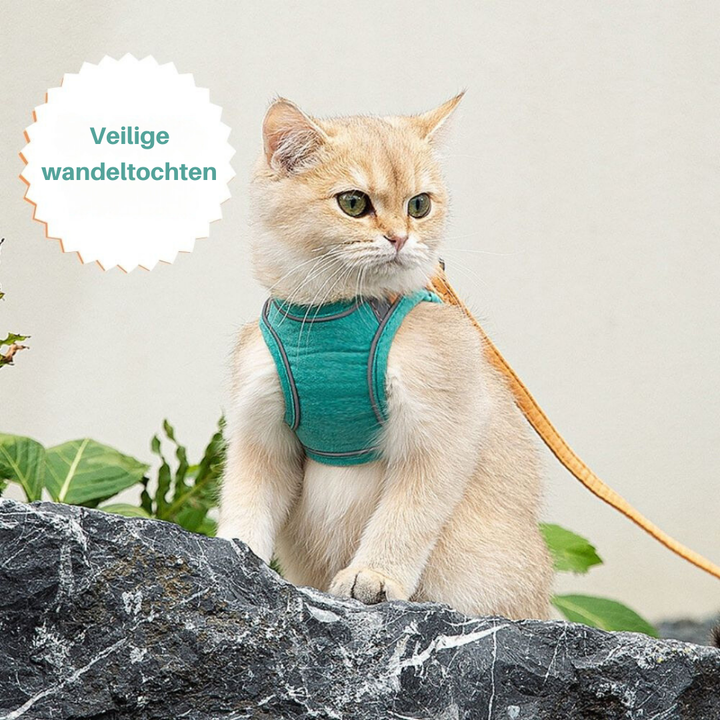 Hochwertiges Katzenzubehör: Ausbruchsicheres Geschirr für unbeschwerte Spaziergänge und sichere Reisen.
