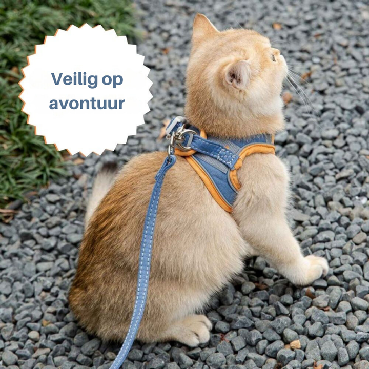 Atmungsaktives Mesh-Katzengeschirr für Komfort und Schutz, perfekt für den Sommer und alle Jahreszeiten.