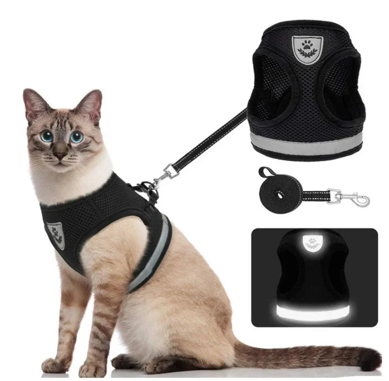 Ausbruchsicheres Katzengeschirr Set mit Leine für sichere Spaziergänge; hoher Komfort und reflektierende Elemente.