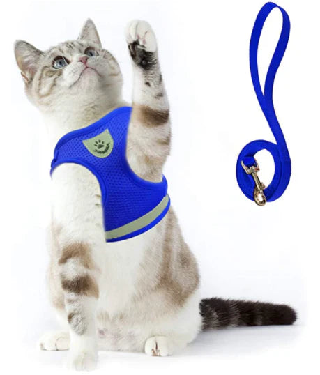 Komfortables Katzen-Geschirrset mit Leine für sichere Spaziergänge; ausbruchsicher und mit Reflexstreifen.