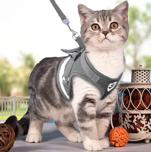 Sicheres Katzen-Geschirr mit Leine, ausbruchsicher für Spaziergänge; atmungsaktives Material bietet Komfort.