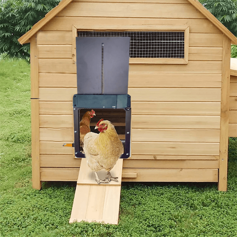 Einfach zu installierende automatische Hühnerklappe mit Lichtsensor für stressfreien Tierschutz.