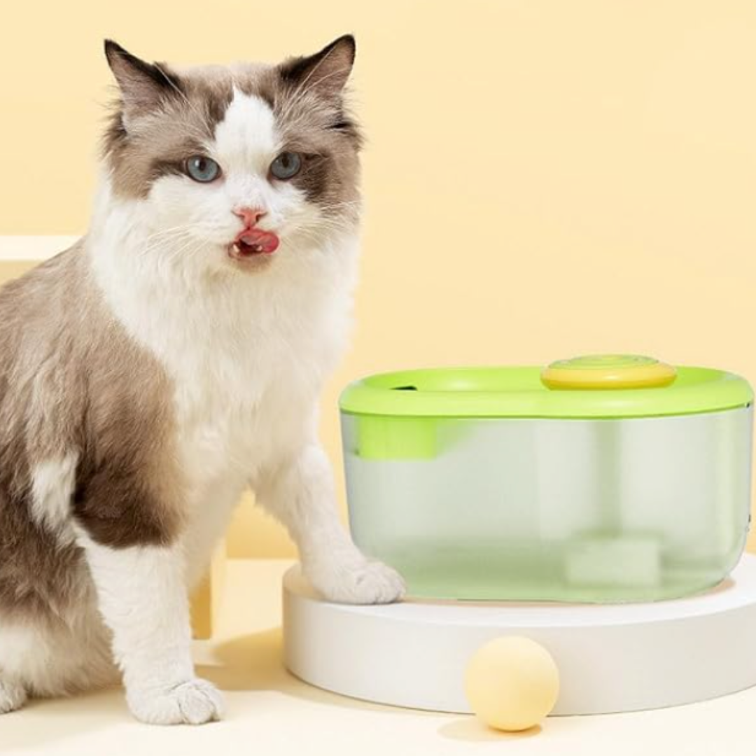 Automatischer FunFlow Haustier Trinkbrunnen für Katze & Hund. Sorgt für sauberes, gefiltertes Wasser.