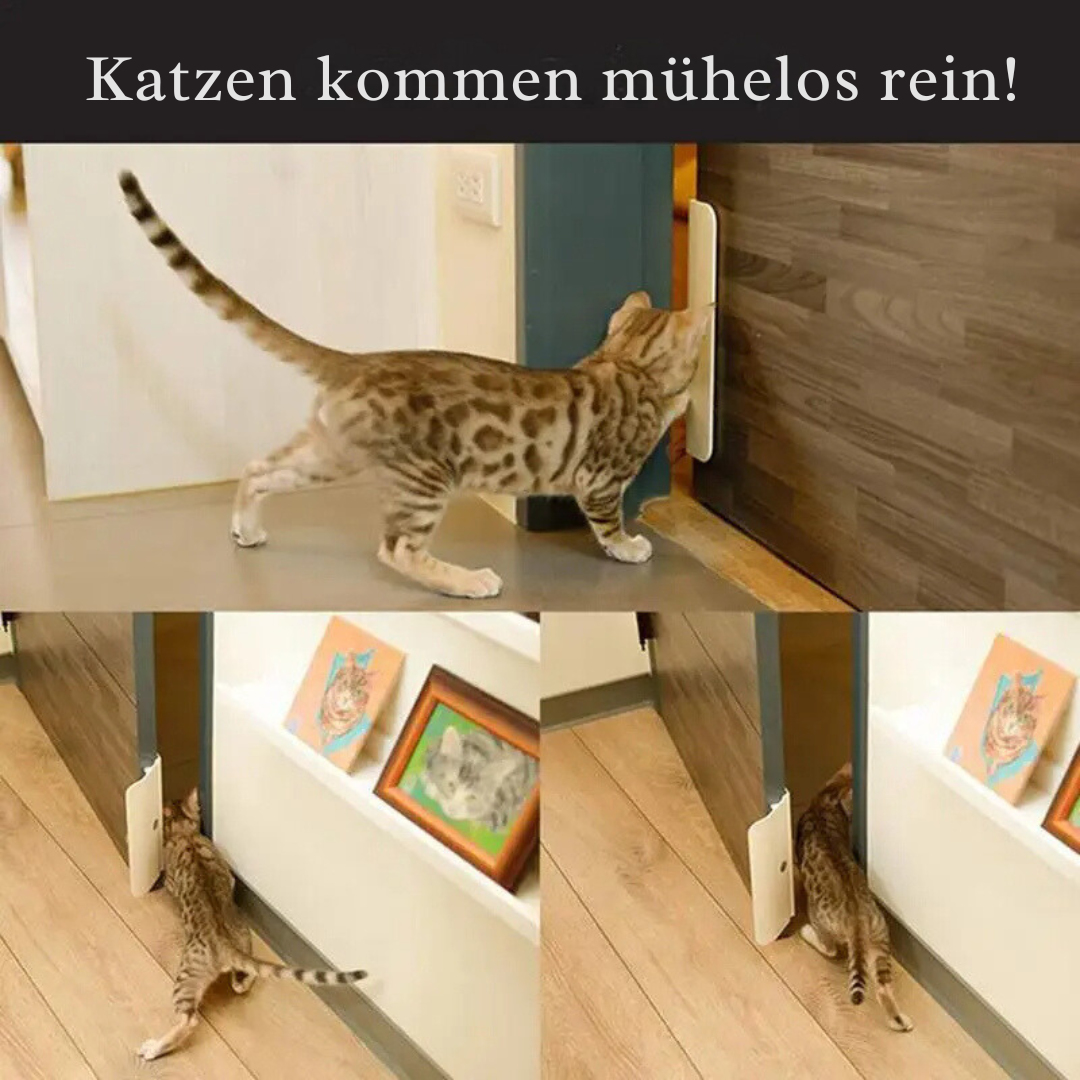 Kleiner Hund betritt Raum durch automatische Haustiertür. Ideal für kleine Hunde, fördert Tierfreiheit & Mobilität.