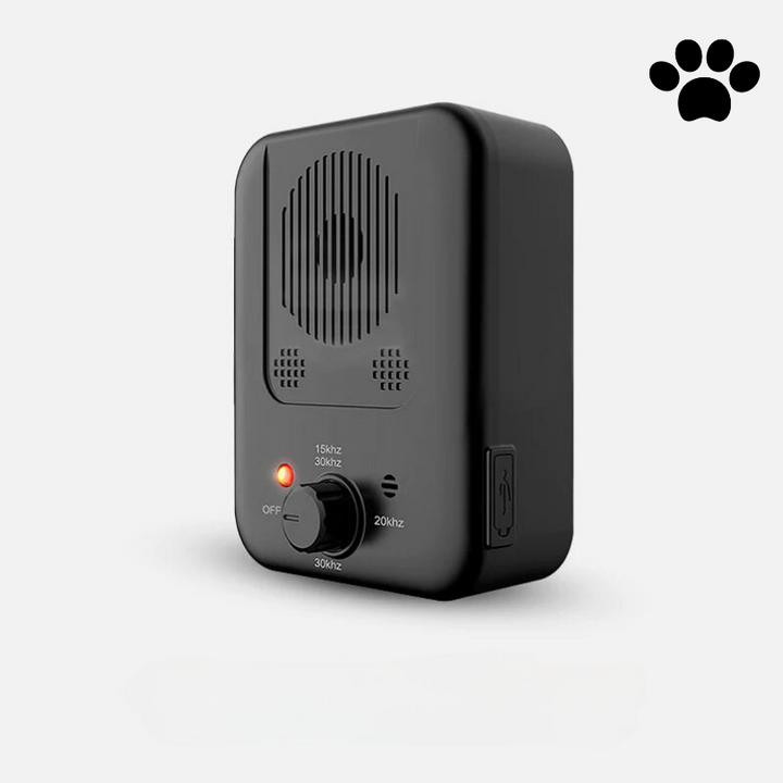 Ruhiger Hund mit modernem Anti-Bell-Gerät. Effektive Bellkontrolle durch Ultraschall für entspannte Tierpflege.