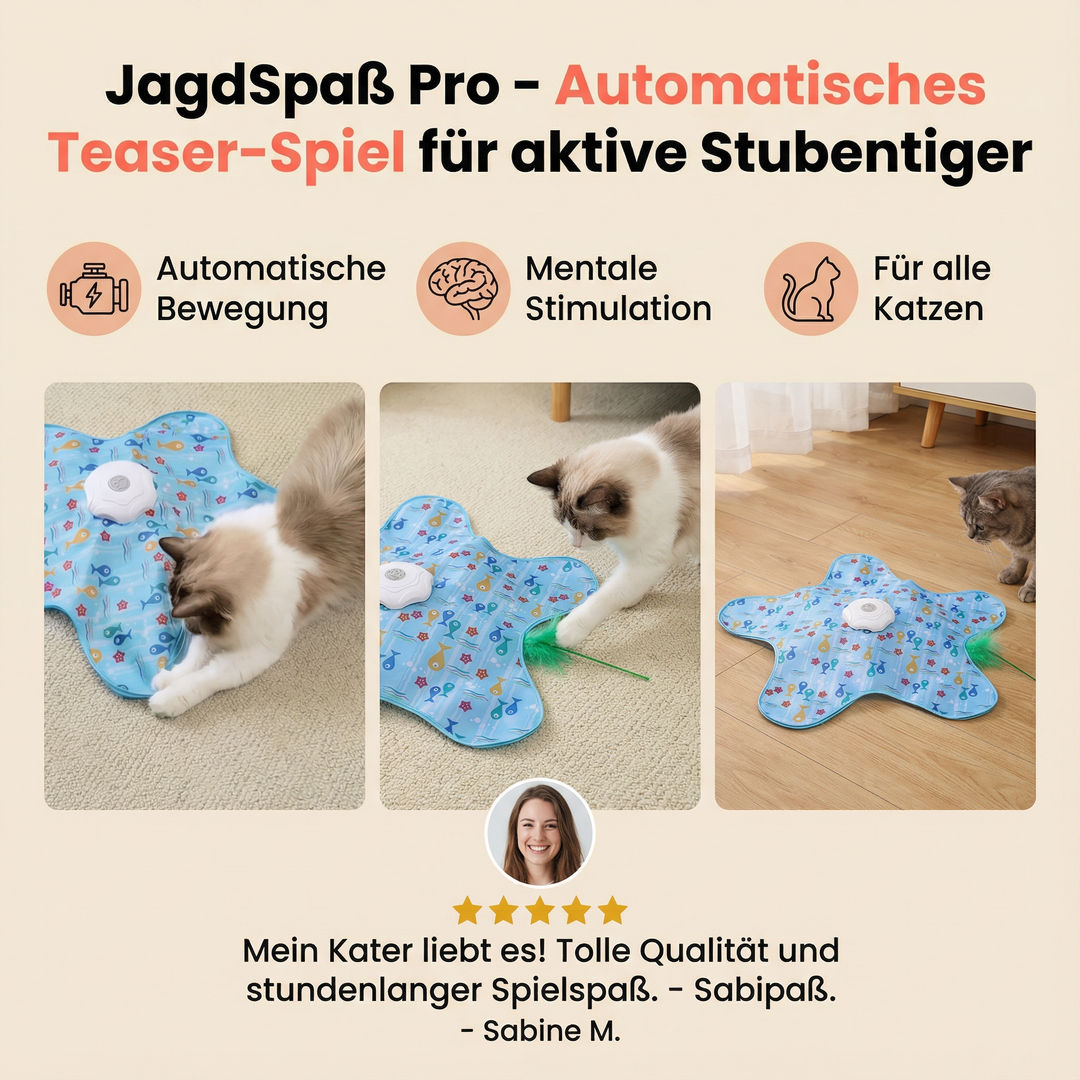 Automatisches Katzenspielzeug für Stubentiger. Sorgt für Spielspaß und Beschäftigung der Katze.