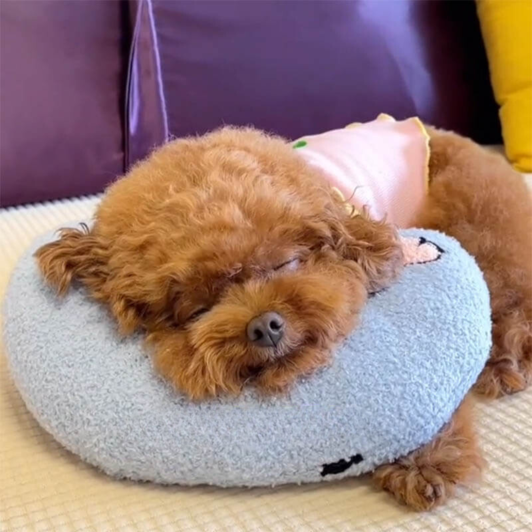 Bequemes CalmNest Hundekissen für entspannte Ruhe. Weich, plüschig & perfekt als Ruheplatz für alle Hunde.