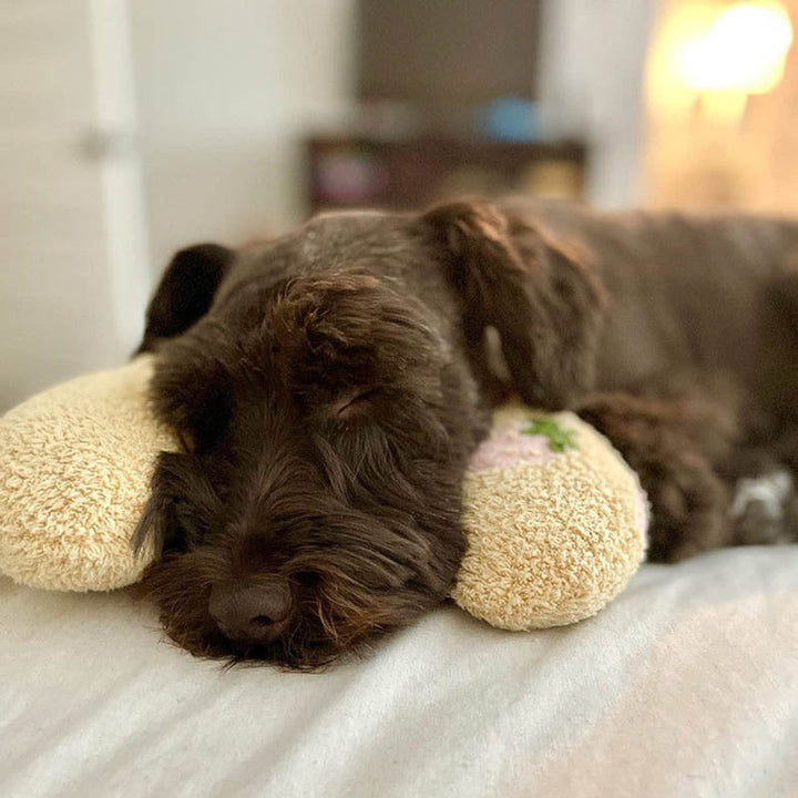 Waschbares Hundekissen CalmNest, ideal als gemütlicher Ruheplatz & Haustierbett für jedes Zuhause.