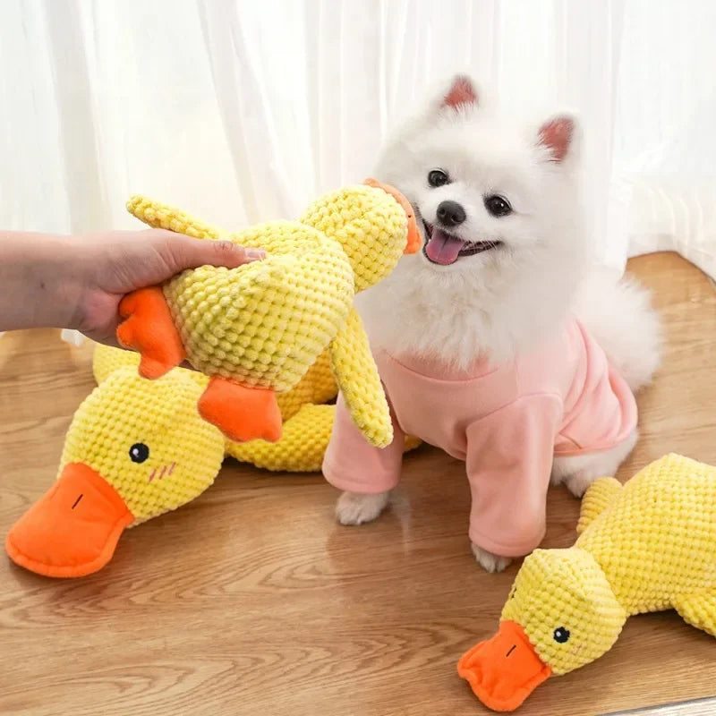 Hund spielt mit langlebigem Anti-Stress Quietschspielzeug Ente, fördert Entspannung & Kauspaß.