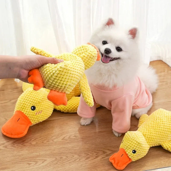 Hund spielt mit langlebigem Anti-Stress Quietschspielzeug Ente, fördert Entspannung & Kauspaß.