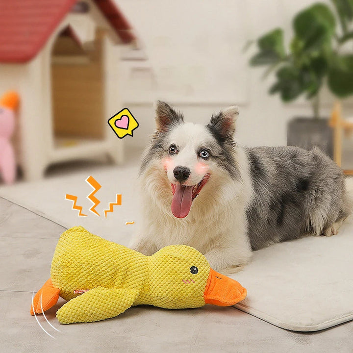 Anti-Stress Quietschspielzeug Ente, perfekt als sicheres Welpenspielzeug & Kauspielzeug für junge Hunde.