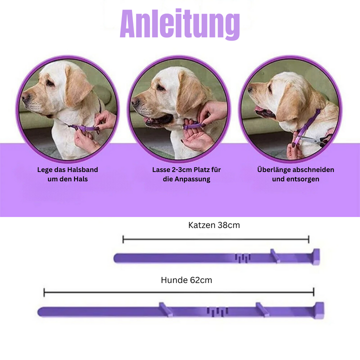 Beruhigendes Halsband für Hund und Katze zur natürlichen Entspannung & Stressabbau. Pheromon-Halsband für Haustiere.