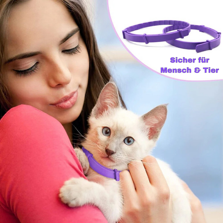 Entspannendes Naturprodukt-Halsband für Hunde & Katzen. Effektiver Stressabbau und Beruhigung für Haustiere.