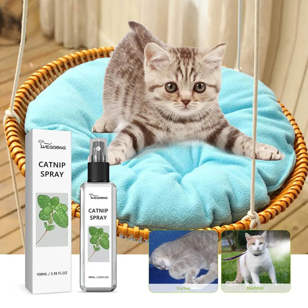 Beruhigendes Katzenspray mit Silbertwein für entspannte Katzen. Natürliches Anti-Stress Mittel für das Katzenwohl.