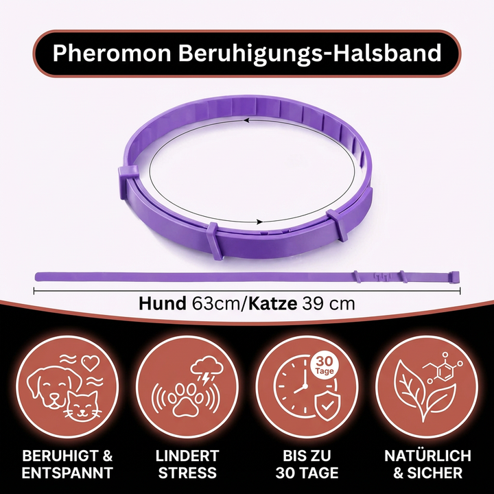 Glücklicher Hund trägt entspannendes Pheromon Halsband, reduziert Angst & Stress natürlich.