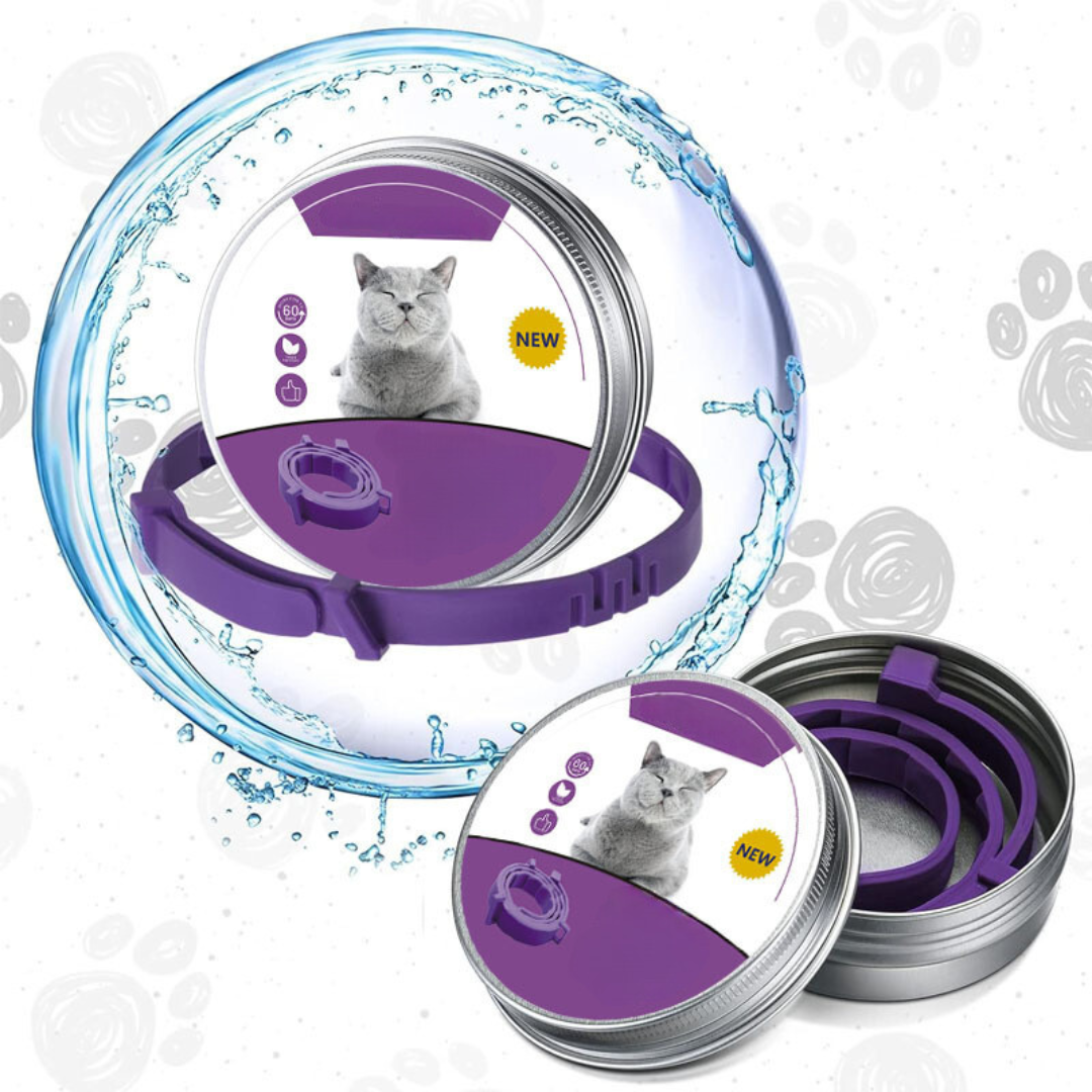 Ruhige Katze mit beruhigendem Pheromon Halsband, für stressfreie Momente zu Hause.