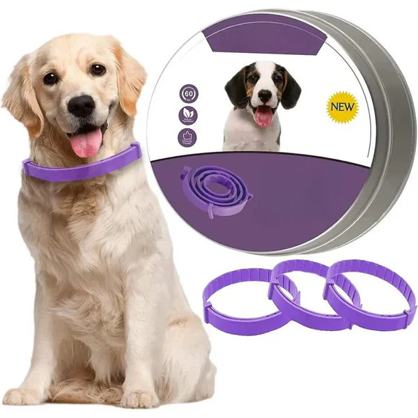 Natürliches Pheromon Halsband für Haustiere: Stressfrei leben, Angstlösung für Hund & Katze.