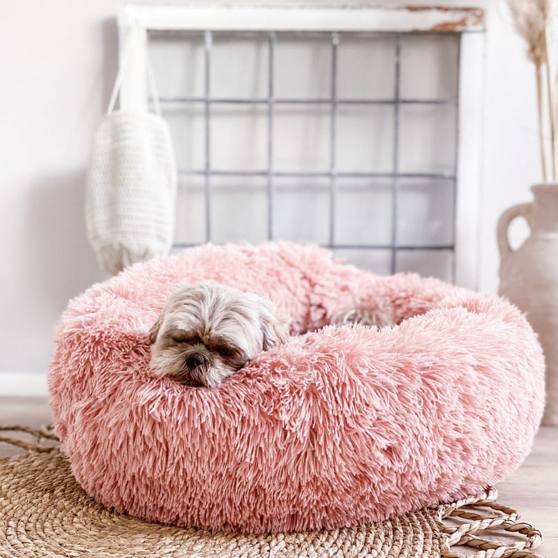 Entspannendes Donut Katzenbett aus weichem Plüsch, für friedliche Stunden der Ruhe.