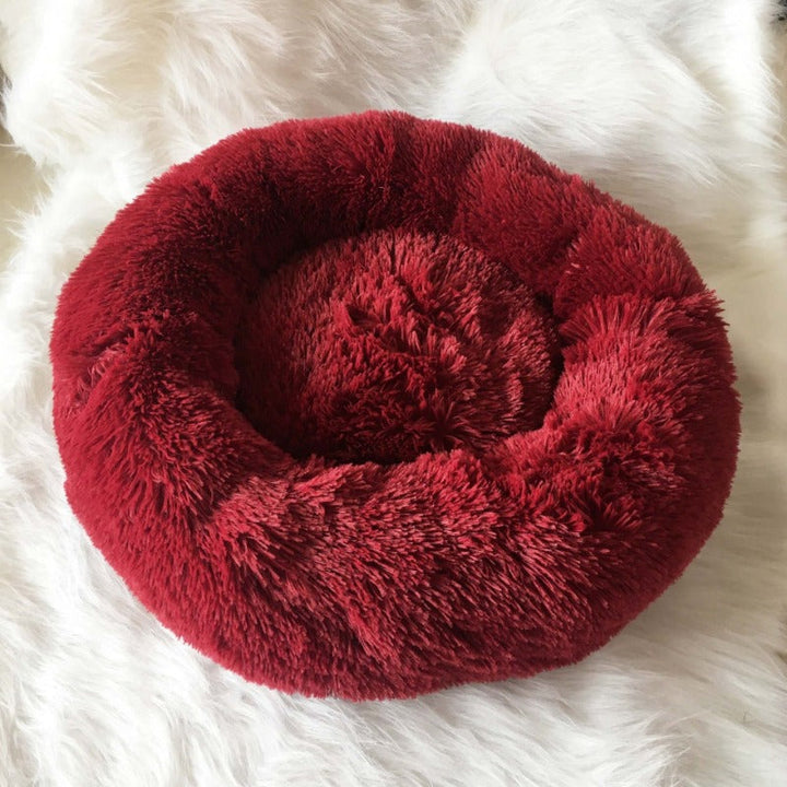 Grosses beruhigendes Donut Hundebett aus Plüsch, viel Platz für grosse Rassen.