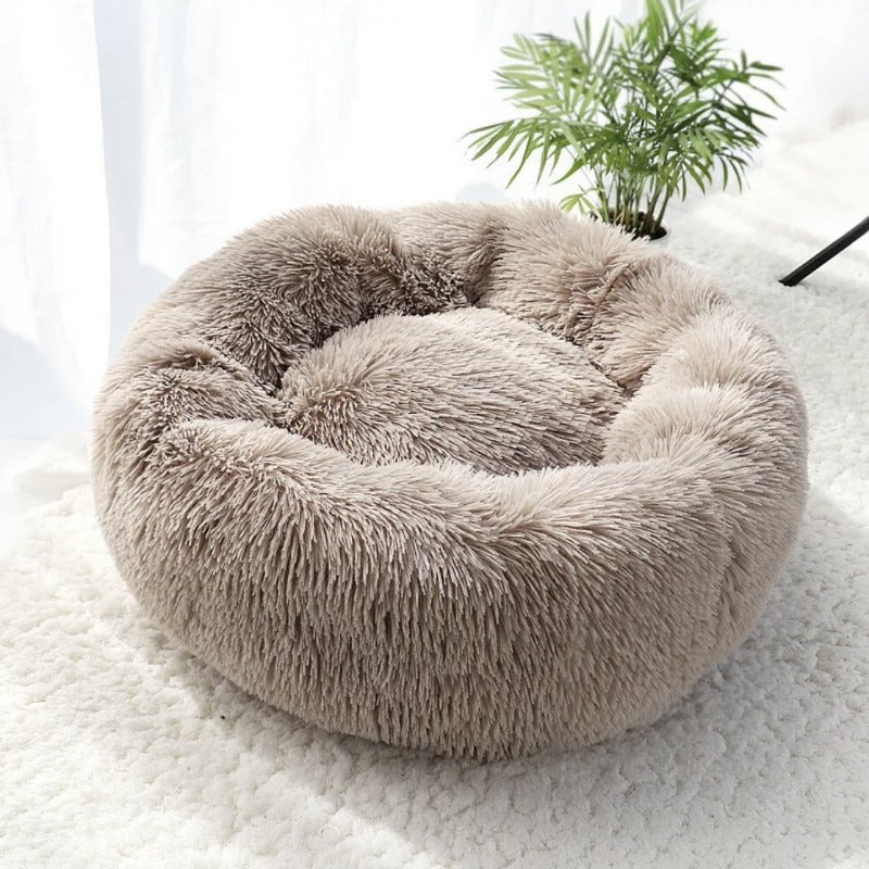Samtweiches Donut Katzenbett aus Plüsch, ein Traum für jede Samtpfote.