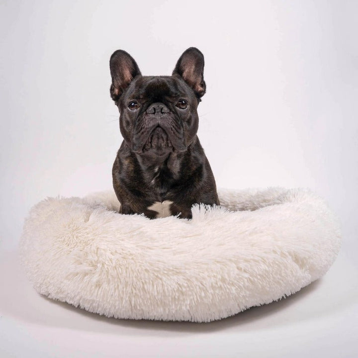 Rundes, beruhigendes Donut Kuschelbett aus weichem Plüsch für alle Haustiere.